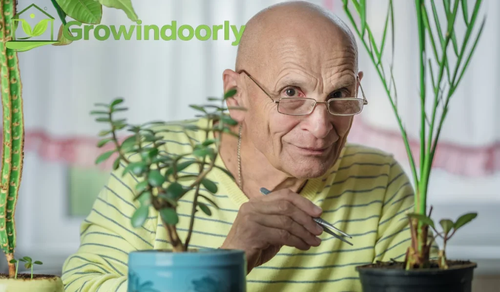 Caring for large houseplants requires specialized equipment to make maintenance manageable and prevent physical strain