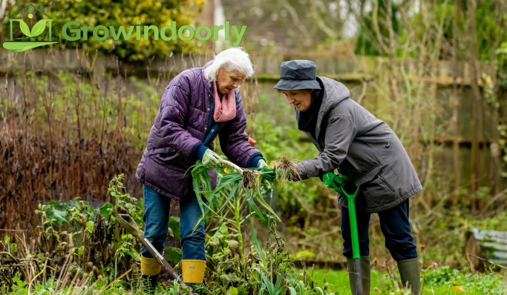 Choosing the best feeding method depends on your routine, the number of plants you own, and your personal gardening style.