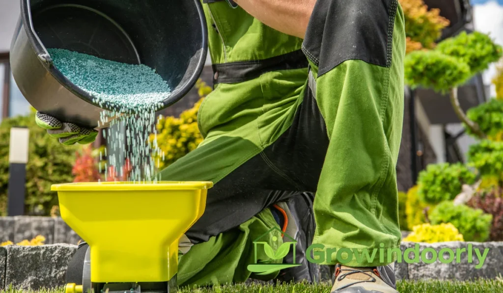 Choosing the right species for your lighting conditions and lifestyle is the most critical step toward indoor gardening success.