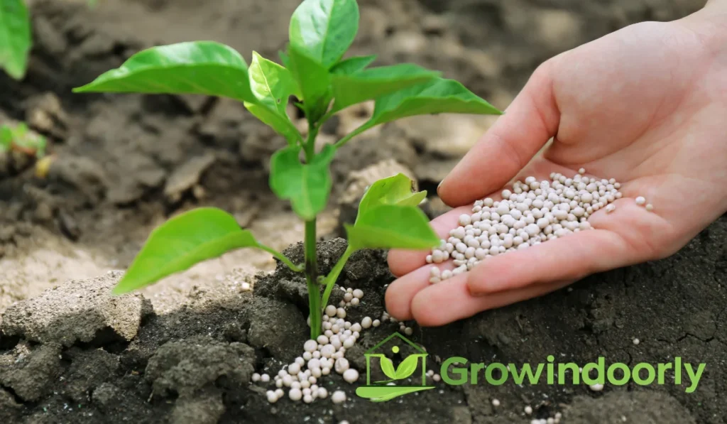 Fertilizer and Nutrients