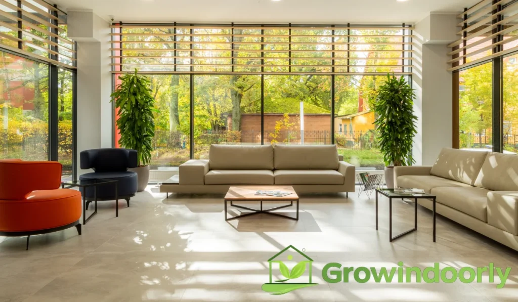 Investing in larger flora offers exceptional decorative and practical rewards for your living space.