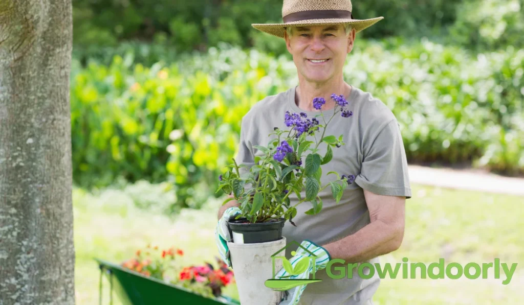 Keeping a tall plant upright, attractive, and balanced requires simple, ongoing physical care.