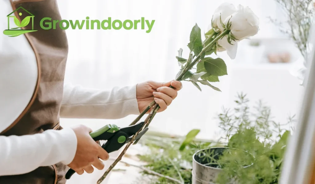 Keeping indoor blooms healthy requires regular, minor upkeep rather than occasional drastic interventions.