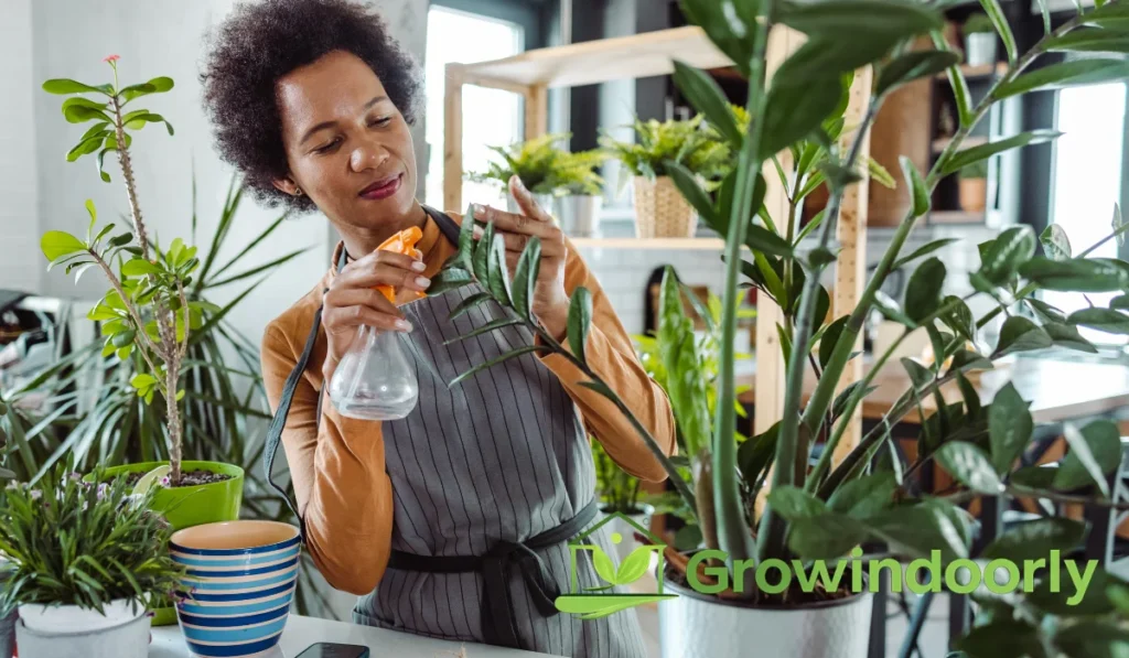 Knowing the exact name of your houseplant is far more than a fun trivia fact it is the foundational key to keeping your indoor garden alive and thriving