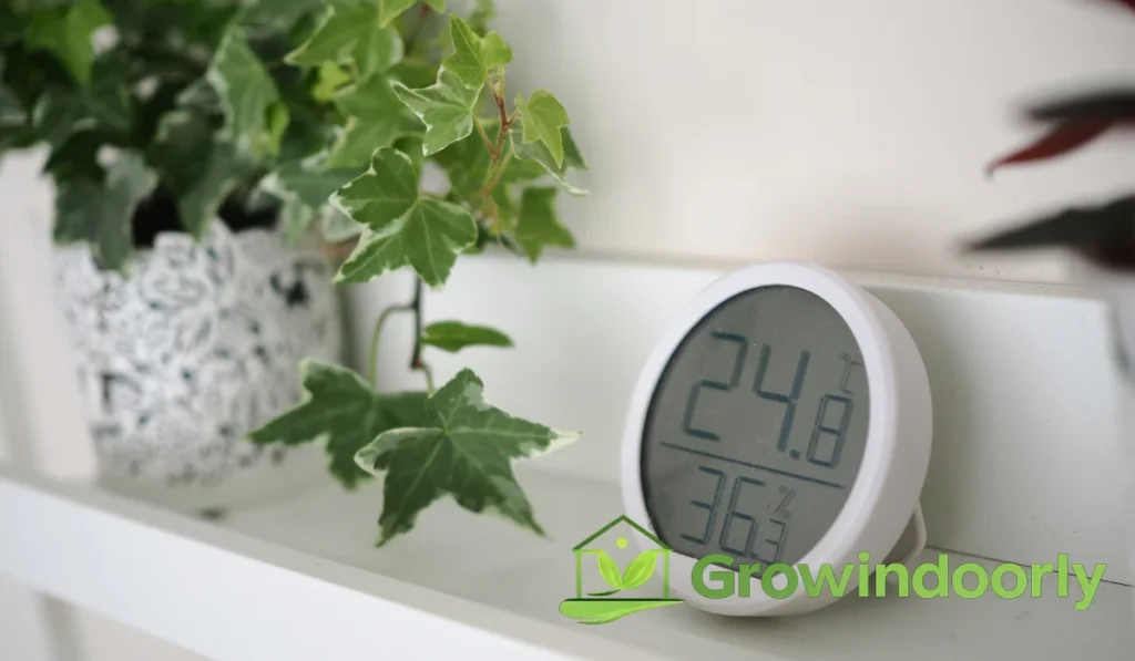 Managing Indoor Humidity Levels