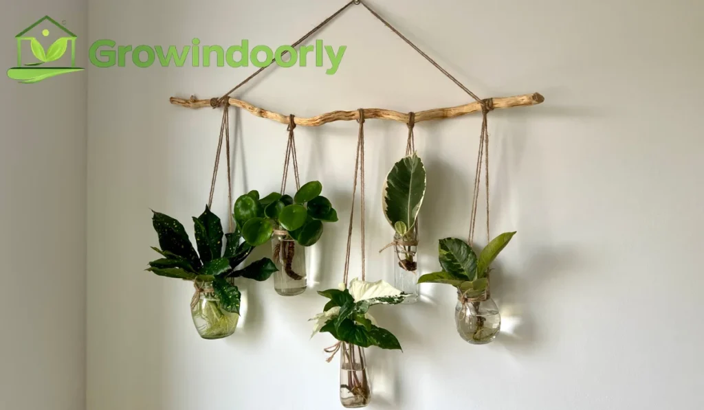 Mounting Methods and Hanging Approaches