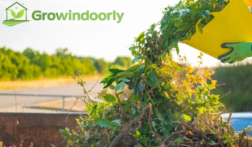  Plants systematically pull trace levels of household toxins including benzene, formaldehyde, and trichloroethylene out of the air column.
