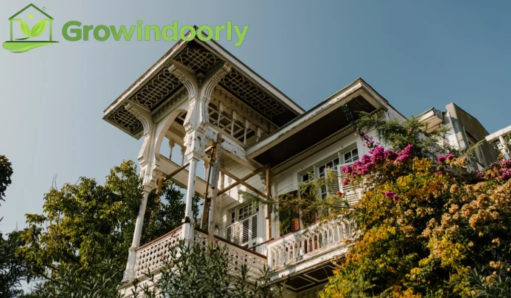 Tall, woody trunks and broad, glossy leaves create structural visual focal points that elevate home aesthetic design instantly.