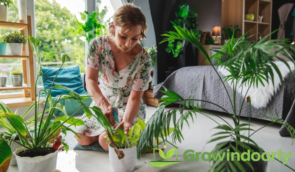 To maximize air purifying benefits in your home, consider these advanced horticulture tactics: