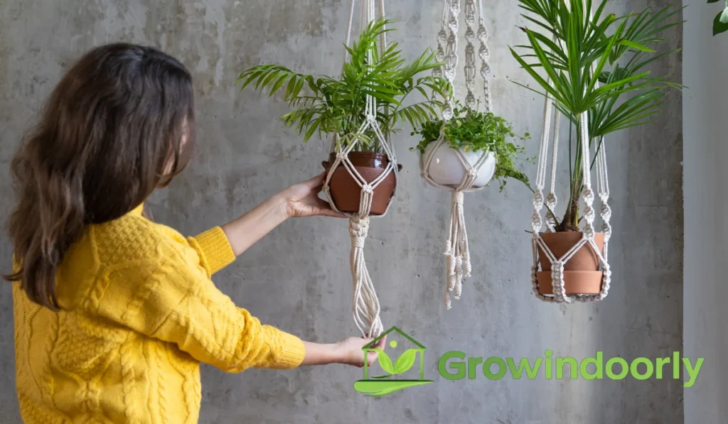 Understanding Vertical Gardening with Hanging Plants
