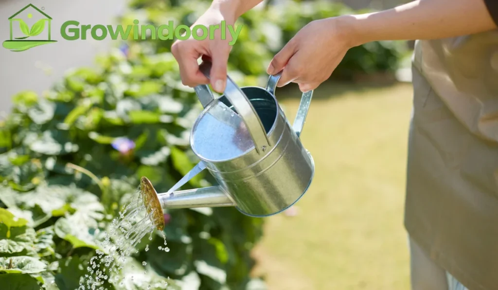 Watering needs vary dramatically depending on the plant family you identify.