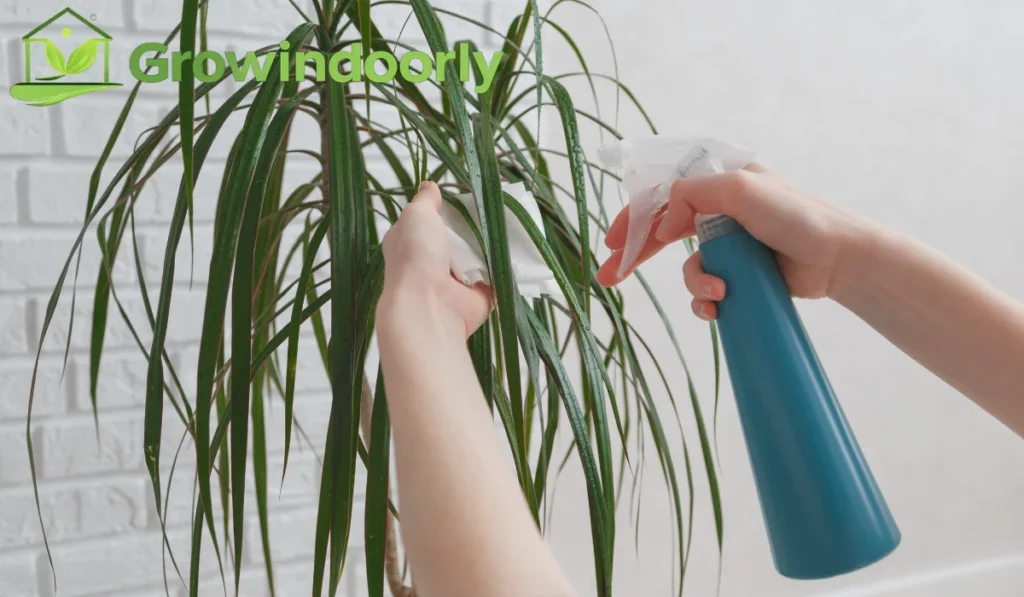 While artificial plants require zero water for survival, cleaning them with water or specialized sprays is necessary to maintain their fresh appearance.
