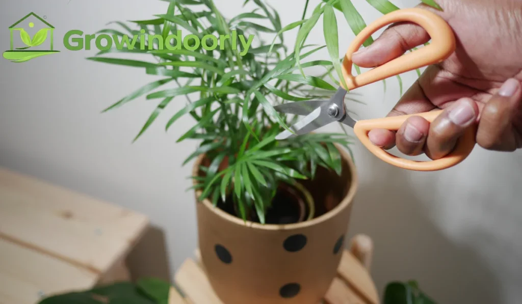 Advanced Expert Tips for Lush Growth