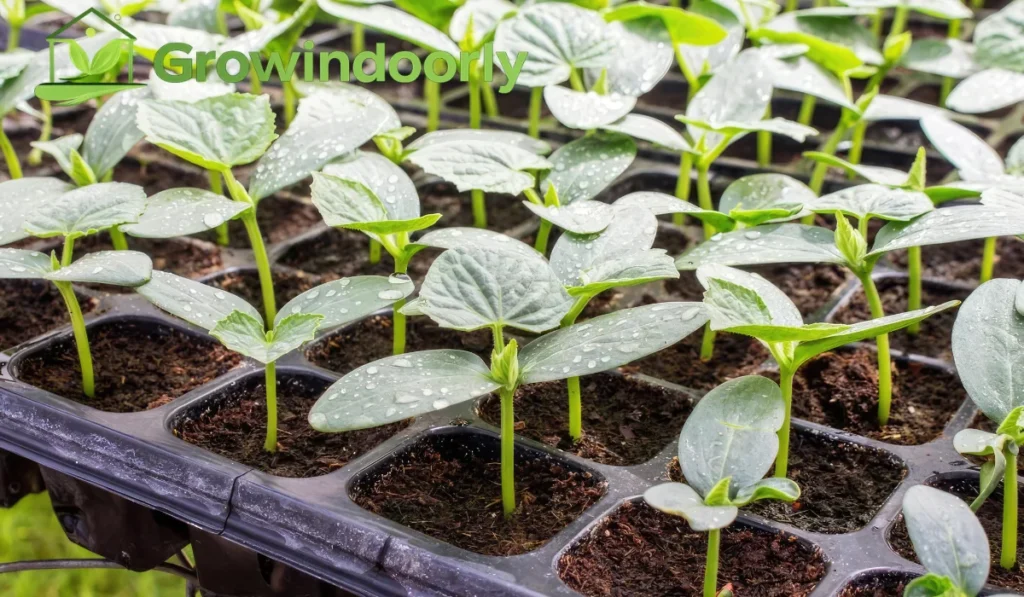 Advanced Strategies for Growing Healthy Green Spaces