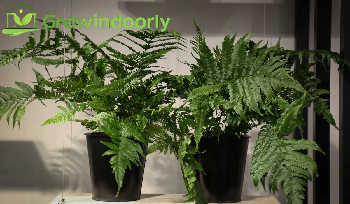 artificial indoor plants