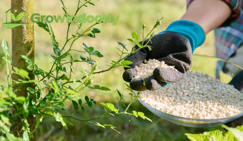 Feeding and Nutrient Schedules