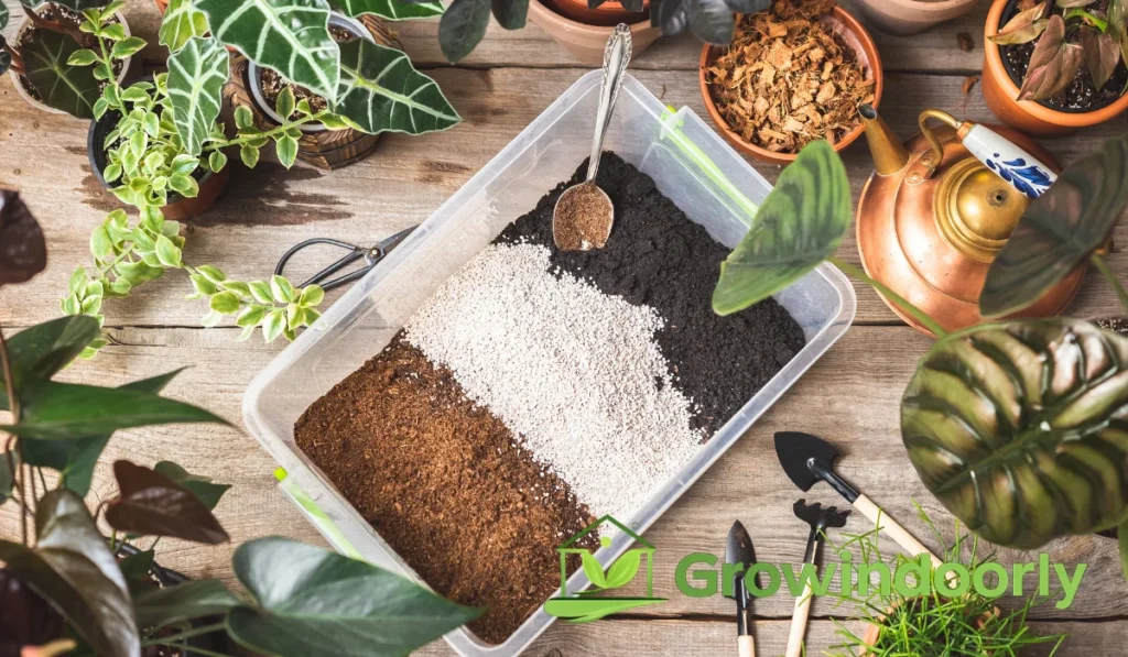 Ideal Soil Mix and Potting Needs