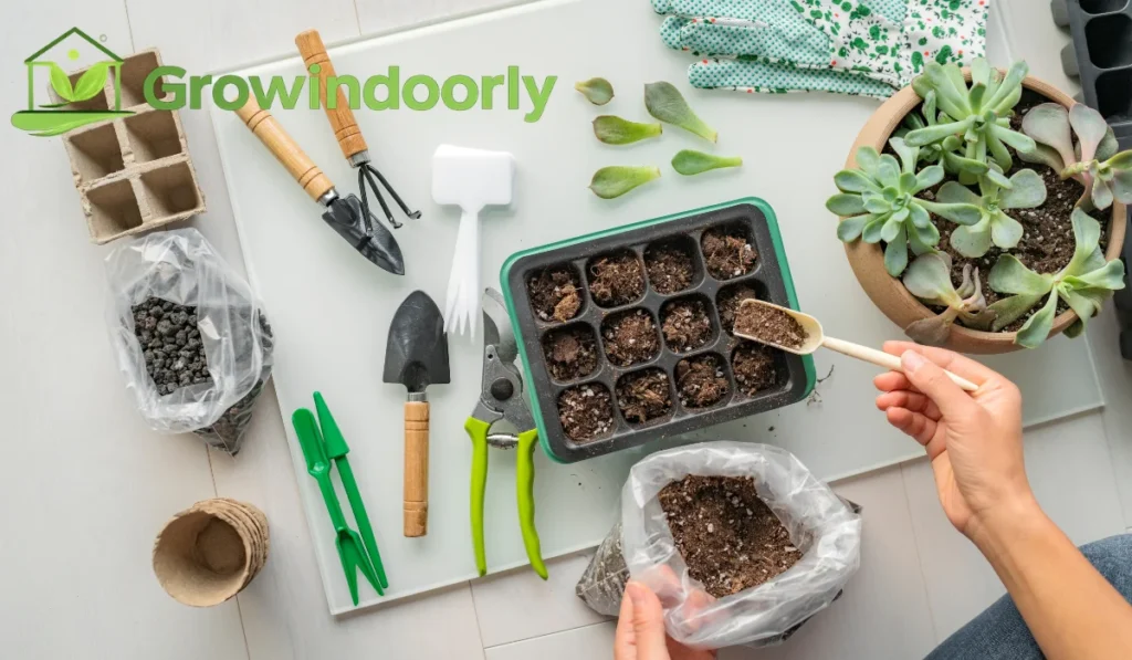 indoor plant potting mix