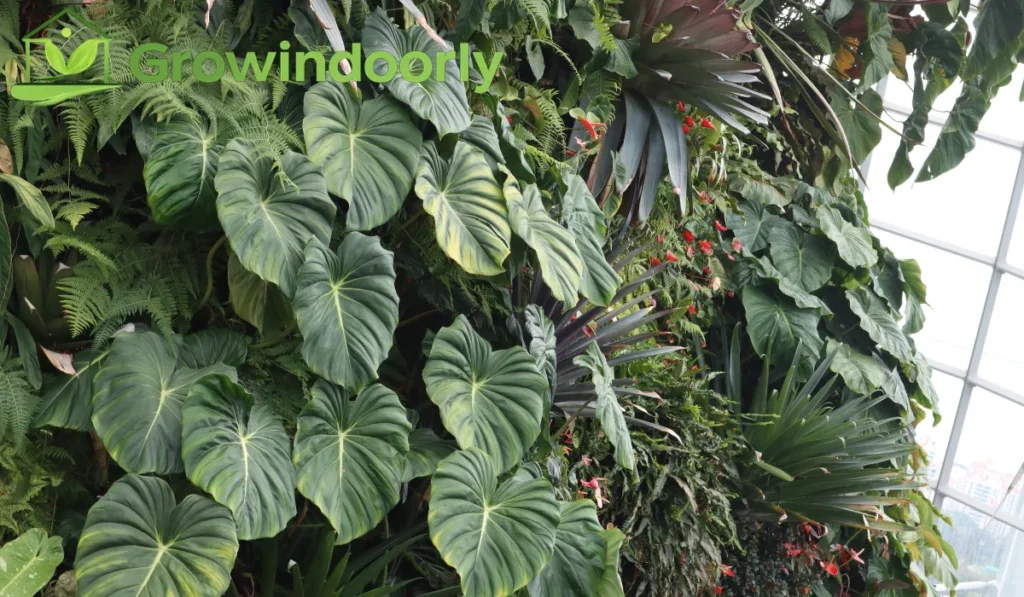 Managing Winter Dormancy