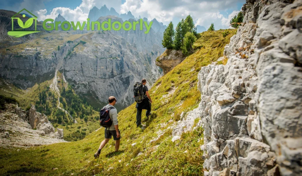 Methods of Growing: Trailing vs. Climbing