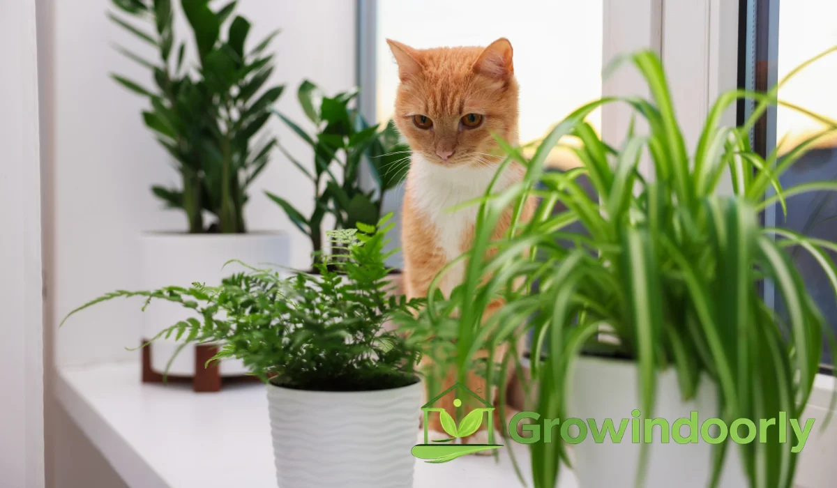 pet safe indoor plants