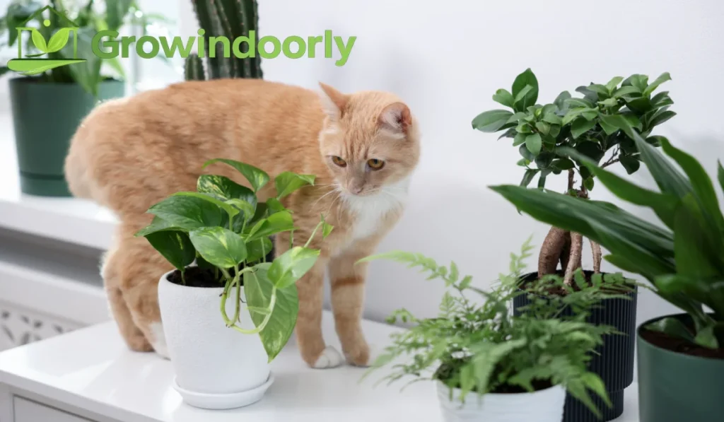 Temperature and Indoor Climate Needs