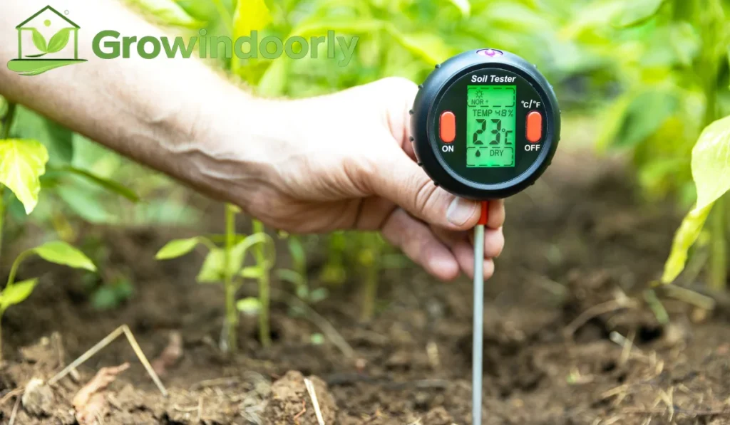 Watering Methods and Moisture Testing